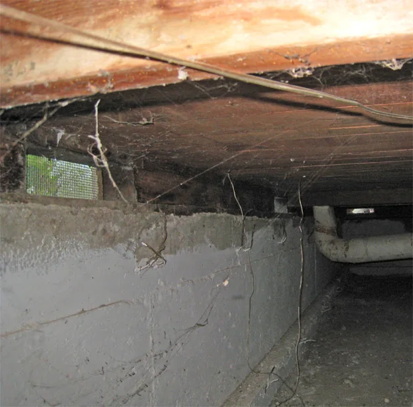 Crawlspace Water Removal in an Aurora home