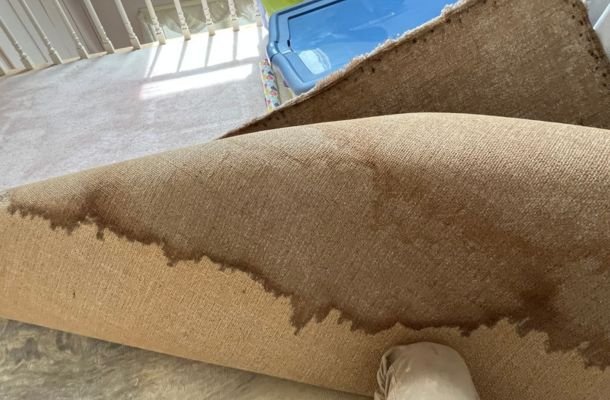 Water Damage, Fire Damage & Mold Remediation Experts in Aurora, Colorado