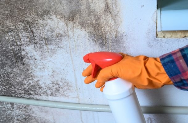 Mold Remediation Fort Aurora, Colorado